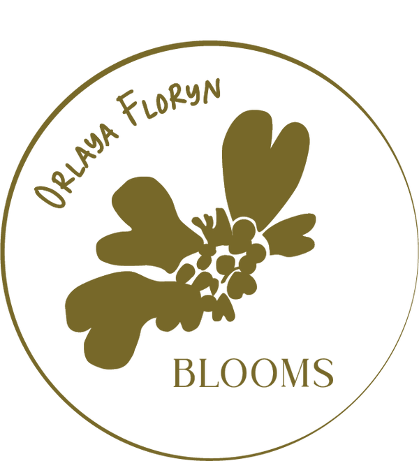 Orlaya Floryn Blooms